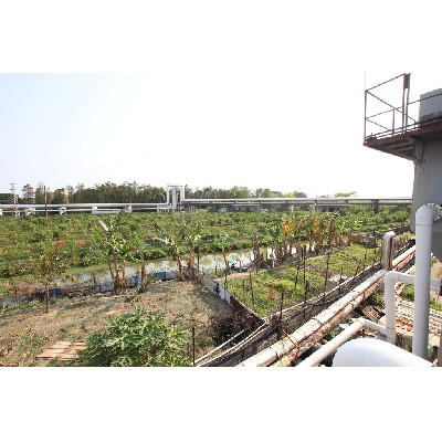 Steam pipeline in industrial zone (2)