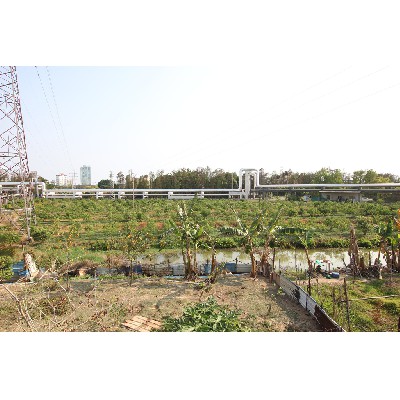 Steam pipeline in industrial zone (1)